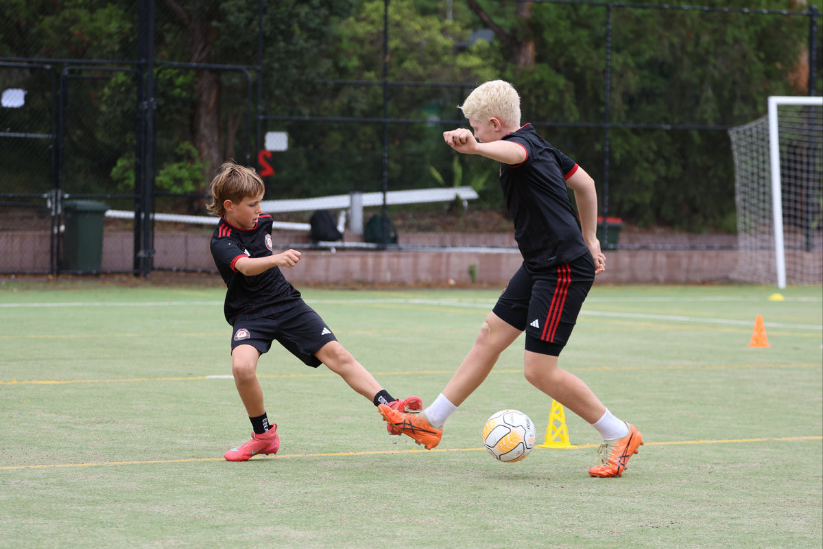 1-on-1 & Small Group Coaching
